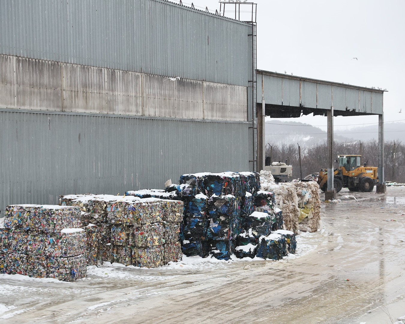 Под Краснодаром хотят построить экотехнопарк для переработки вторсырья
