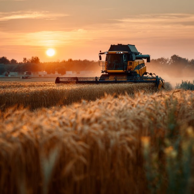 Упаковщики зерна в рукава для сельского хозяйства